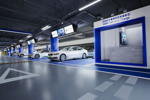 宝马携手国网电动汽车公司，深化技术开发战略合作