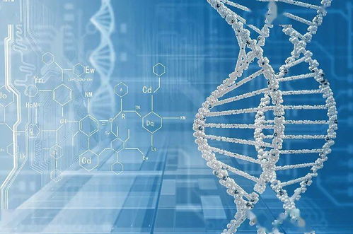 加快突破产业关键核心技术——江苏省“十四五”科技创新规划系列解读之四 网络科技领域的核心发展方向