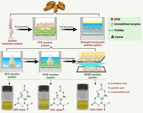 广西蚕业信息网 网络科技驱动下的技术创新与发展