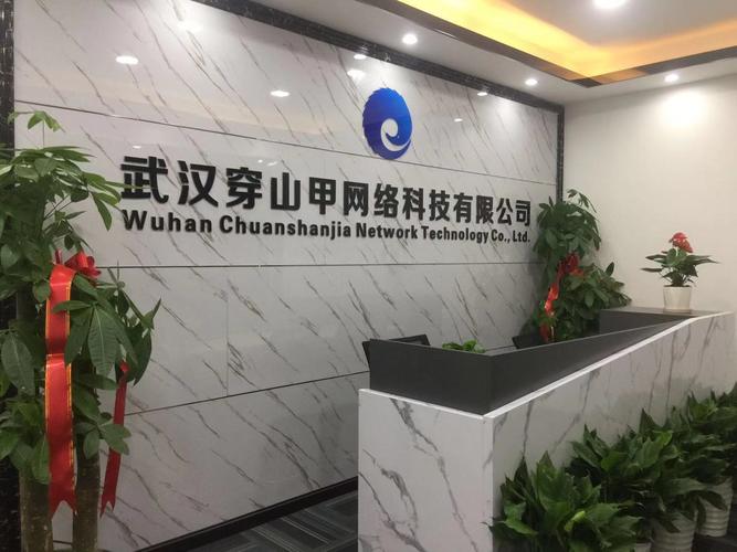 公司经营范围包括:网络科技,信息技术领域内的技术开发,技术咨询,技术